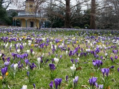 Missouri Botanical Garden