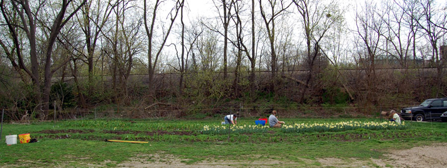 Spring Street micro-farm